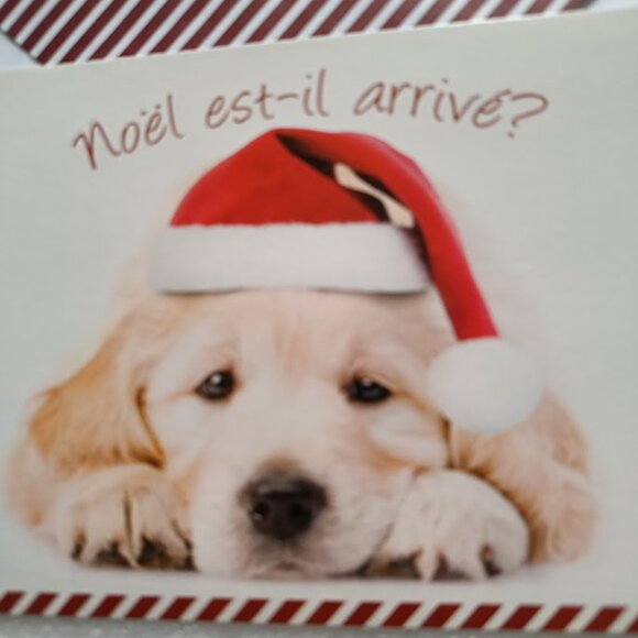 🎄🐶8 Dogs Puppy Christmas Greeting French cards + matching envelopes - Picture 3 of 8